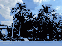 ที่ดินว่างเปล่าหลุดจำนอง ธ.ธนาคารกสิกรไทย บางนางลี่ อัมพวา สมุทรสงคราม