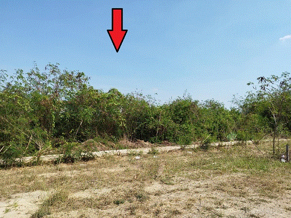 ที่ดินหลุดจำนอง ธ.ธนาคารกรุงเทพ ปลายโพงพาง อัมพวา สมุทรสงคราม